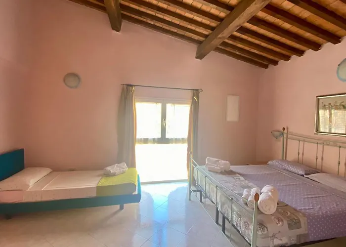 Apartament Tirreno Tirrenia